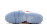 Jordan 6 Retro Slam Dunk