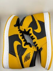 Jordan 1 Retro High Pollen