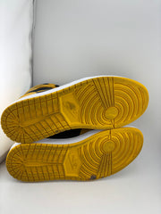 Jordan 1 Retro High Pollen